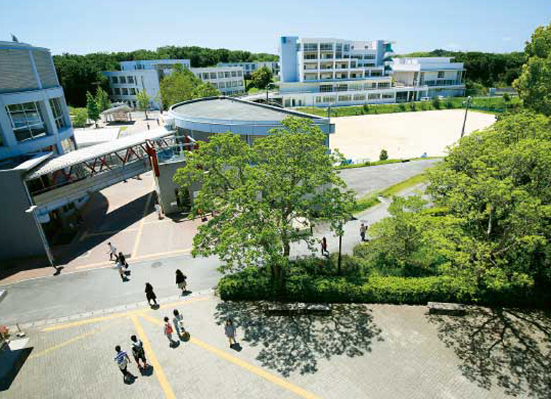 Khám phá nền giáo dục quốc tế tại Đại học Nihon