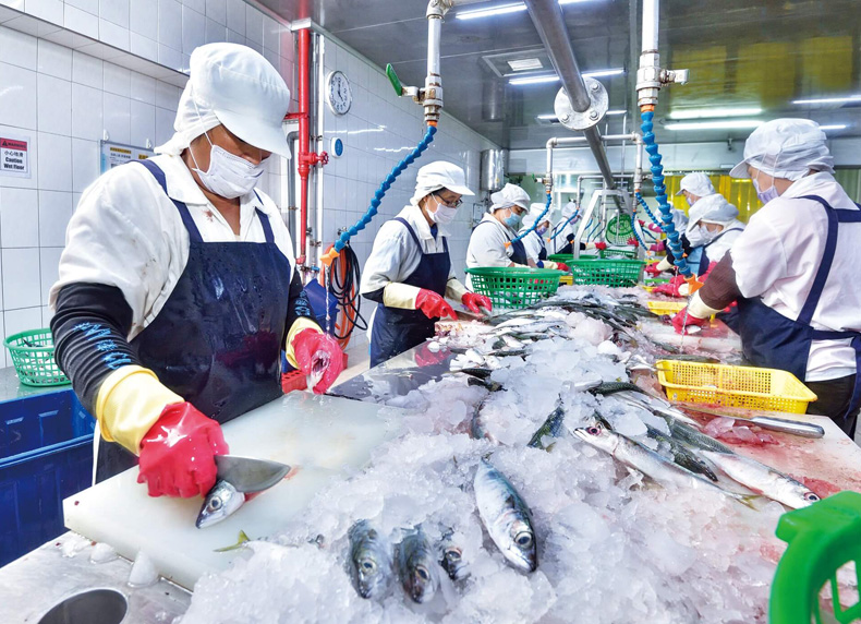 Tổng hợp các đơn hàng đi Nhật dành cho cặp vợ chồng chi phí thấp