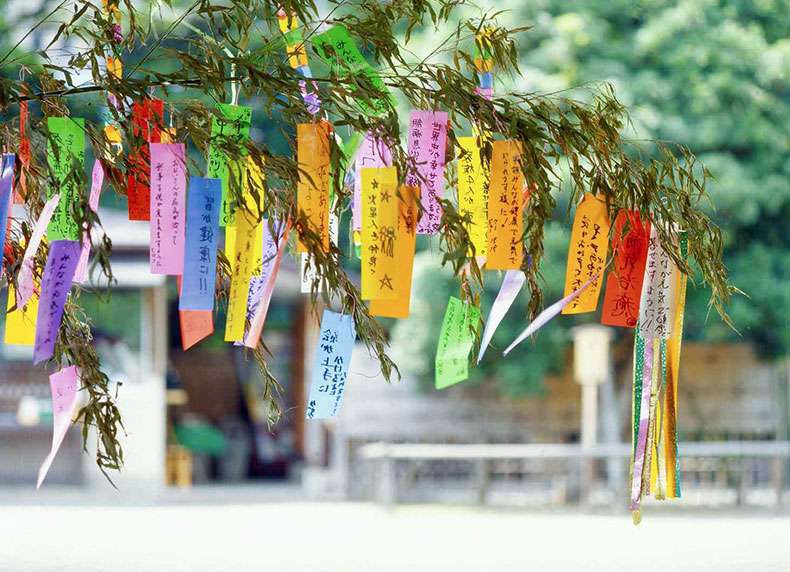 trang trí cây trúc lễ hội tanabata