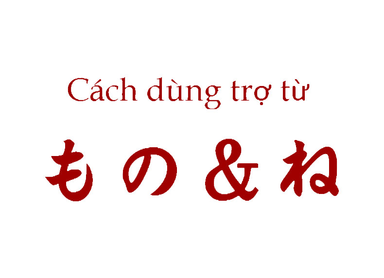 các trợ từ trong tiếng Nhật N5