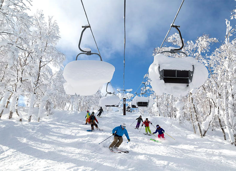 Trượt tuyết ở Niseko