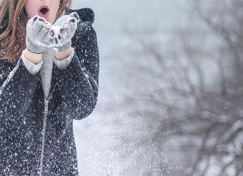 Trượt tuyết ở Niseko