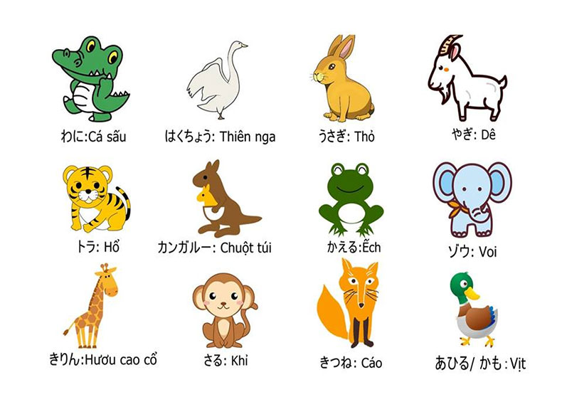Phương pháp nhớ từ vựng N1