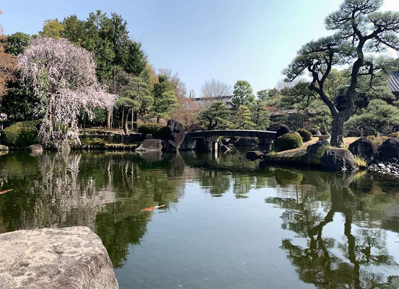 Lâu đài Himeji