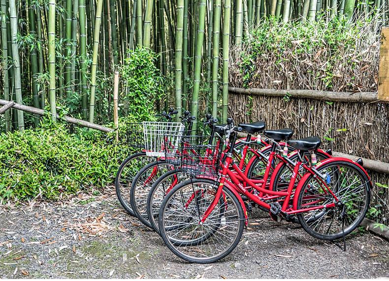 Rừng tre Arashiyama