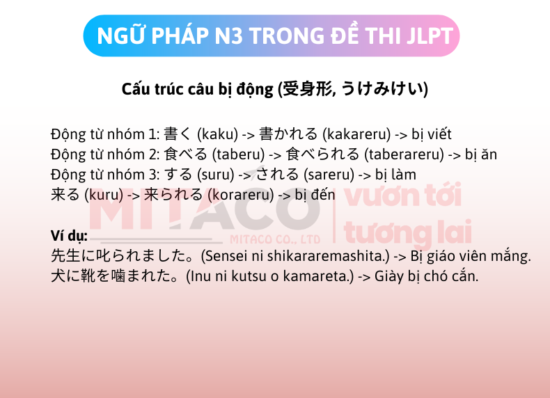 ngu-phap-N3-trong-de-thi-JLPT-chia-khoa-den-tu-trinh-do-trung-cap